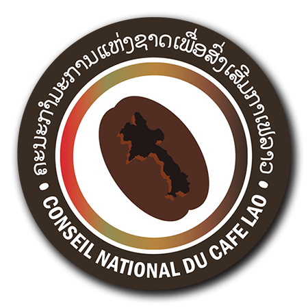 Conseil National Du Cafe Lao Inter Professional Body Entitled To Represent The Whole Lao Coffee Sector